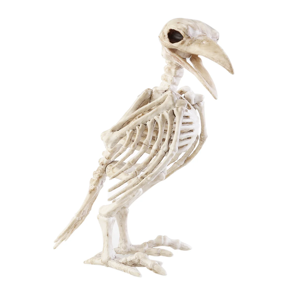 Crazy Bone Skeleton ворон, пластиковые скелеты в виде животных, металлические кости, украшение в виде птицы, вороны, скелета
Crazy Bone Skeleton ворон, пластиковые скелеты в виде животных, металлические кости, украшение в виде птицы, вороны, скелета