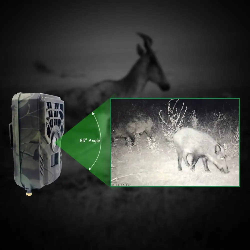Telecamera da pista per la caccia telecamera per la fauna selvatica 940nm retroilluminazione visione notturna 5MP
Telecamera da pista per la caccia telecamera per la fauna selvatica 940nm retroilluminazione visione notturna 5MP