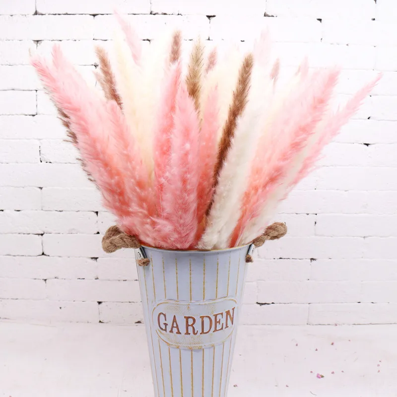 15 Pcs Dried Small Pampas Grass Wedding Flowers Bunch Natural Home Decor Phragmites Communism Pink Artificial Flowers
15 Pcs Dried Small Pampas Grass Wedding Flowers Bunch Natural Home Decor Phragmites Communism Pink Artificial Flowers