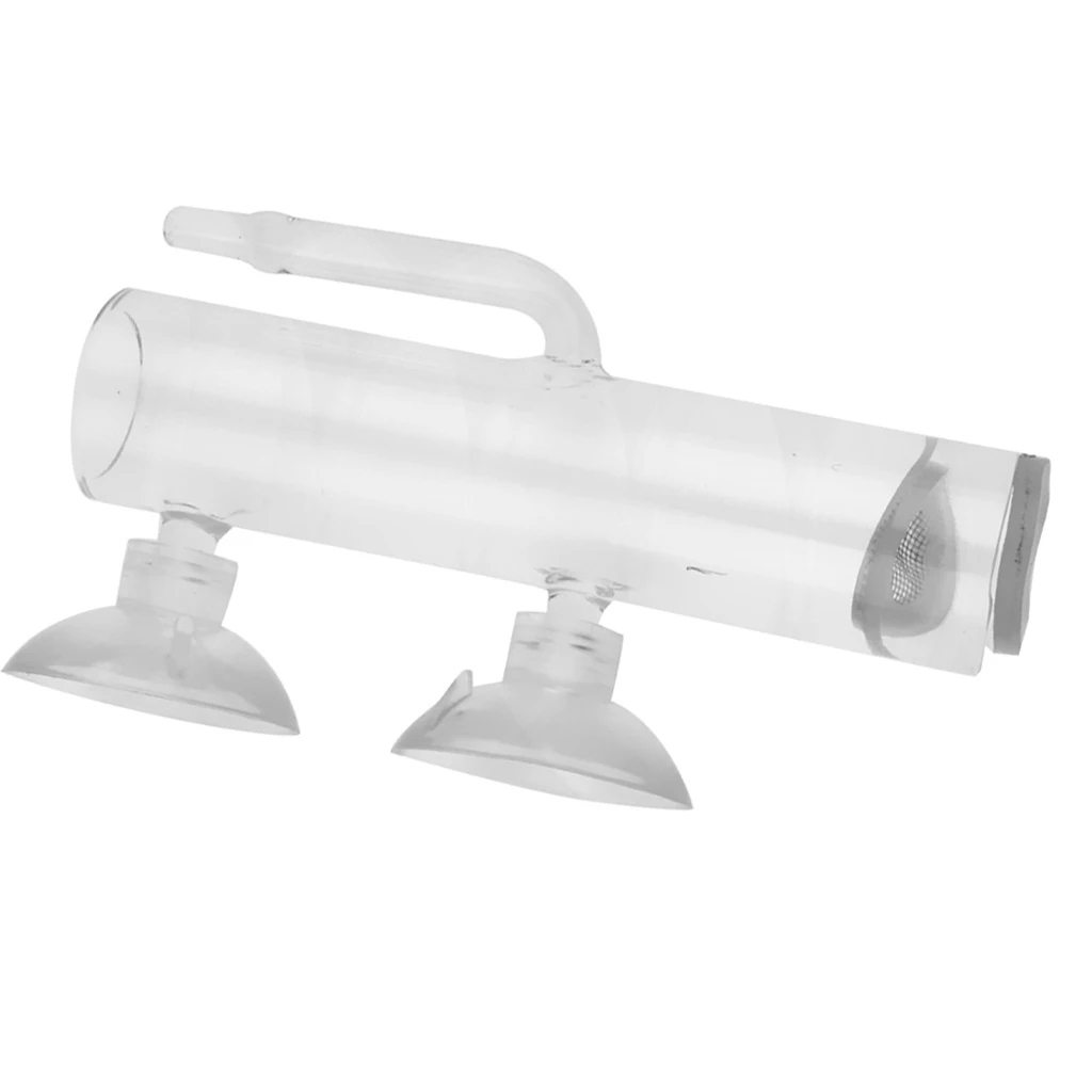 1Pcs Aquarium Glass Tumbler Incubator Shrimp Hatchery Eggs Instead Mouth-brooding
1Pcs Aquarium Glass Tumbler Incubator Shrimp Hatchery Eggs Instead Mouth-brooding