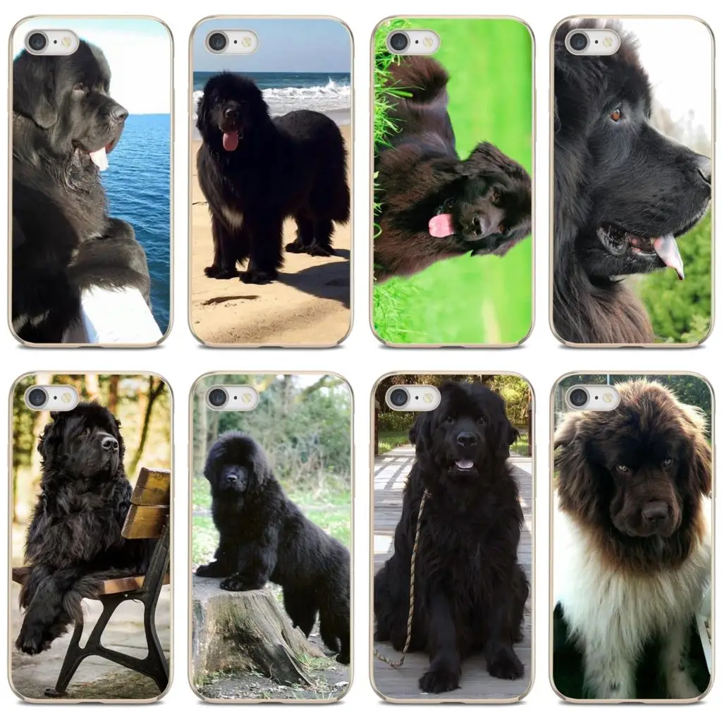 

For iPod iPhone 10 11 12 Pro Mini 4S 5S SE 5C 6 6S 7 8 X XR XS Plus Max 2020 Newfoundland dog Beautiful Gentle Giant Soft Case