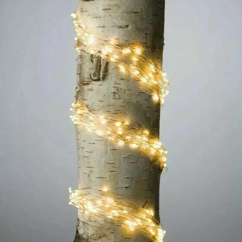 Firefly Bunch Lights Christmas LED Strings for Bedroom Garden Outdoor/Indoor 2m/5m/10m
Firefly Bunch Lights Christmas LED Strings for Bedroom Garden Outdoor/Indoor 2m/5m/10m