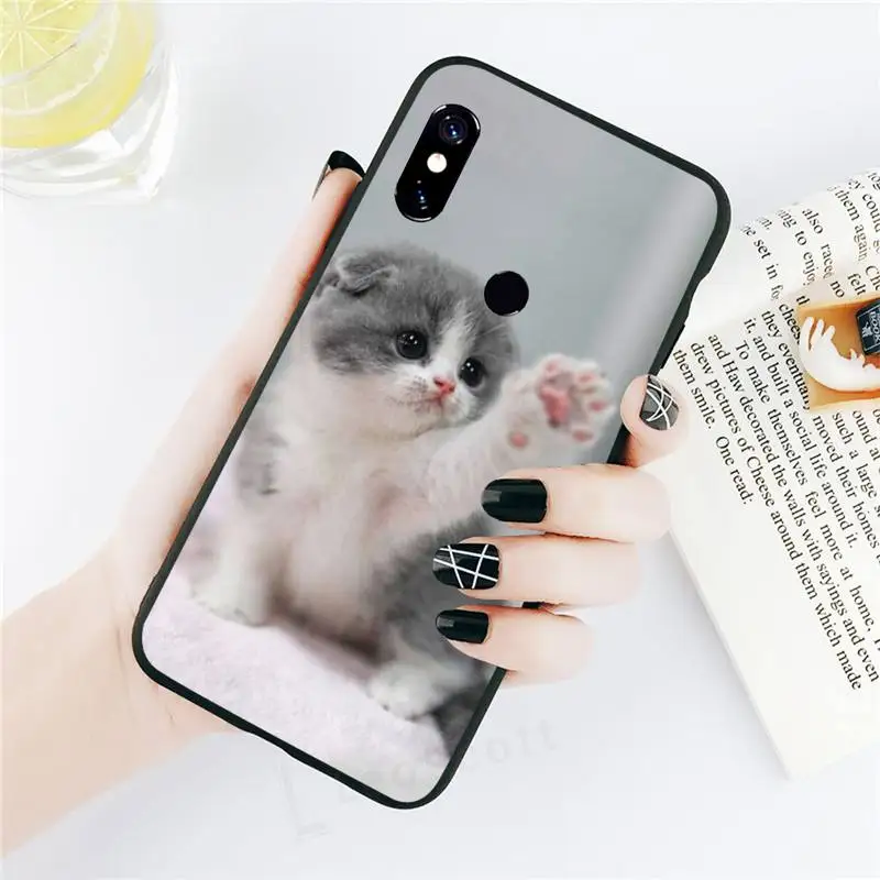 universal Phone Case For Xiaomi Redmi note 7 8 9 t max3 s 10 pro lite cat cute lovely animal coque cover funda shell
universal Phone Case For Xiaomi Redmi note 7 8 9 t max3 s 10 pro lite cat cute lovely animal coque cover funda shell