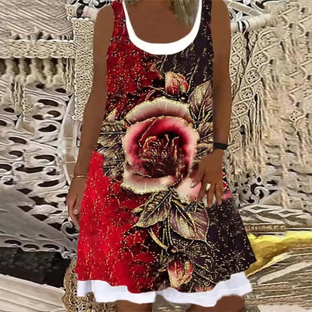 Fashion Women Dress All-matched Floral Print Fake Two-piece Polyester Round Neck Sleeveless Dress Easy Cleaning for Holiday
Fashion Women Dress All-matched Floral Print Fake Two-piece Polyester Round Neck Sleeveless Dress Easy Cleaning for Holiday