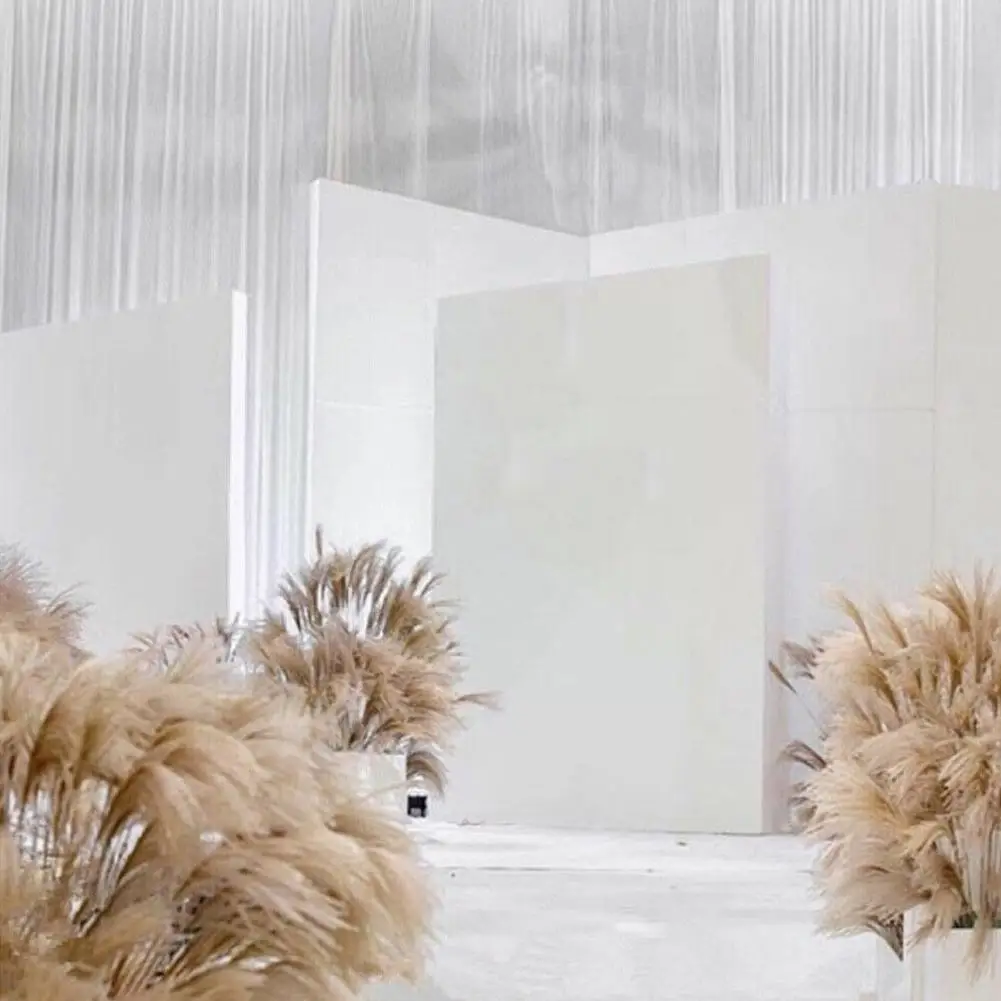 Pampas Grass Reed Dry Flowers Bouquet Wedding Decoration Living Rooms Real Dried Flowers Furnishings Props Shooting Homes F V8J2 
Pampas Grass Reed Dry Flowers Bouquet Wedding Decoration Living Rooms Real Dried Flowers Furnishings Props Shooting Homes F V8J2