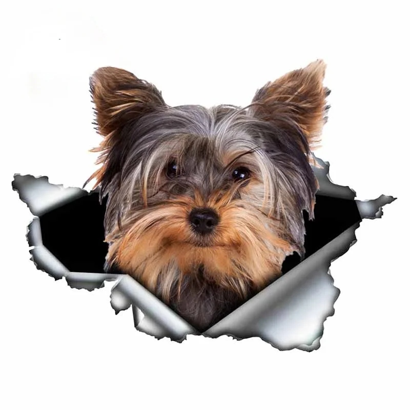 13cm X 12.6cm Yorkshire Terrier Vinyl Personality Sticker Torn Metal Decal Animal Car Stickers Window Bumper Pet Dog Car Styling
13cm X 12.6cm Yorkshire Terrier Vinyl Personality Sticker Torn Metal Decal Animal Car Stickers Window Bumper Pet Dog Car Styling