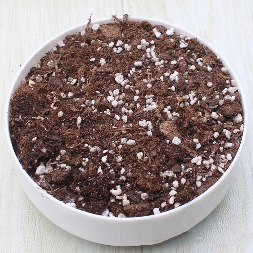 1Pc Bonsai Flower Pot Simple Imitated Ceramics Flowerpot Creative Planter Container for Garden Balcony Plant Planter Gardening 
1Pc Bonsai Flower Pot Simple Imitated Ceramics Flowerpot Creative Planter Container for Garden Balcony Plant Planter Gardening