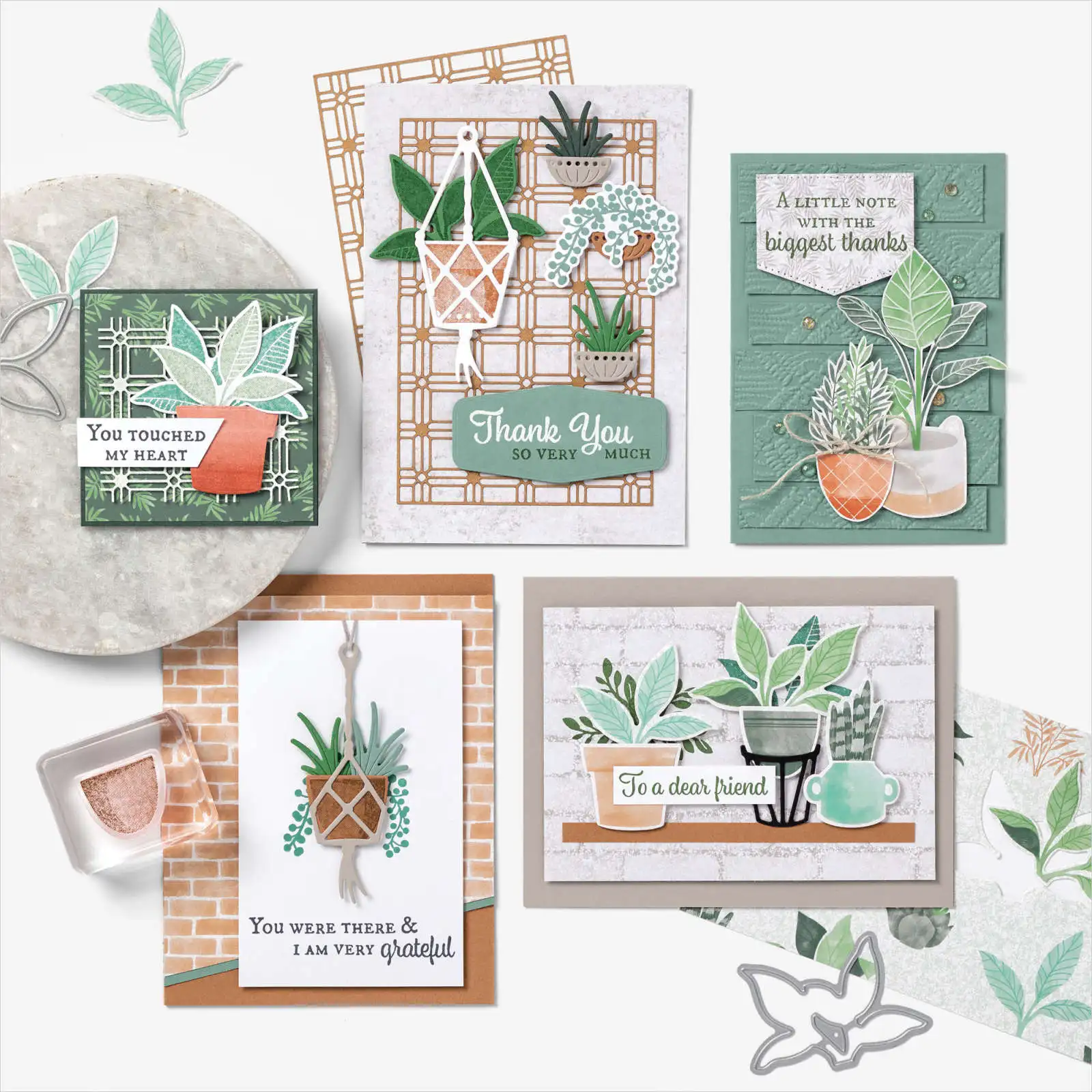 Plentiful Plants Stamps And Dies New Arrival 2021Scrapbook Dariy Decoration Stencil Embossing Template Diy Greeting Card Gift 
Plentiful Plants Stamps And Dies New Arrival 2021Scrapbook Dariy Decoration Stencil Embossing Template Diy Greeting Card Gift