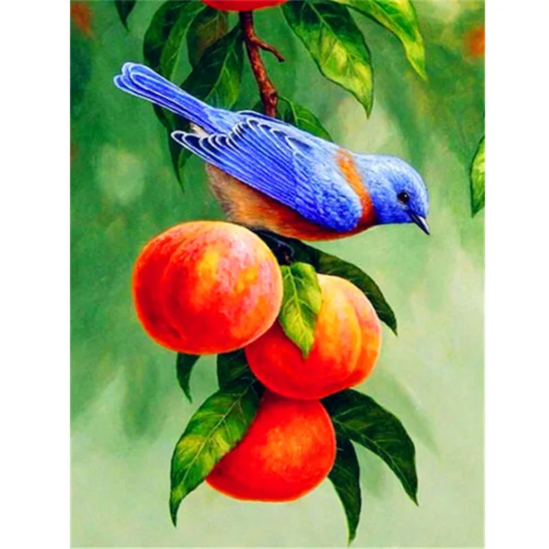 5D Diamond Art Painting Kits Animal Bird Diamond Embroidery Sale Fruit Apple Pictures of Rhinestones Mosaic Home Decor
5D Diamond Art Painting Kits Animal Bird Diamond Embroidery Sale Fruit Apple Pictures of Rhinestones Mosaic Home Decor