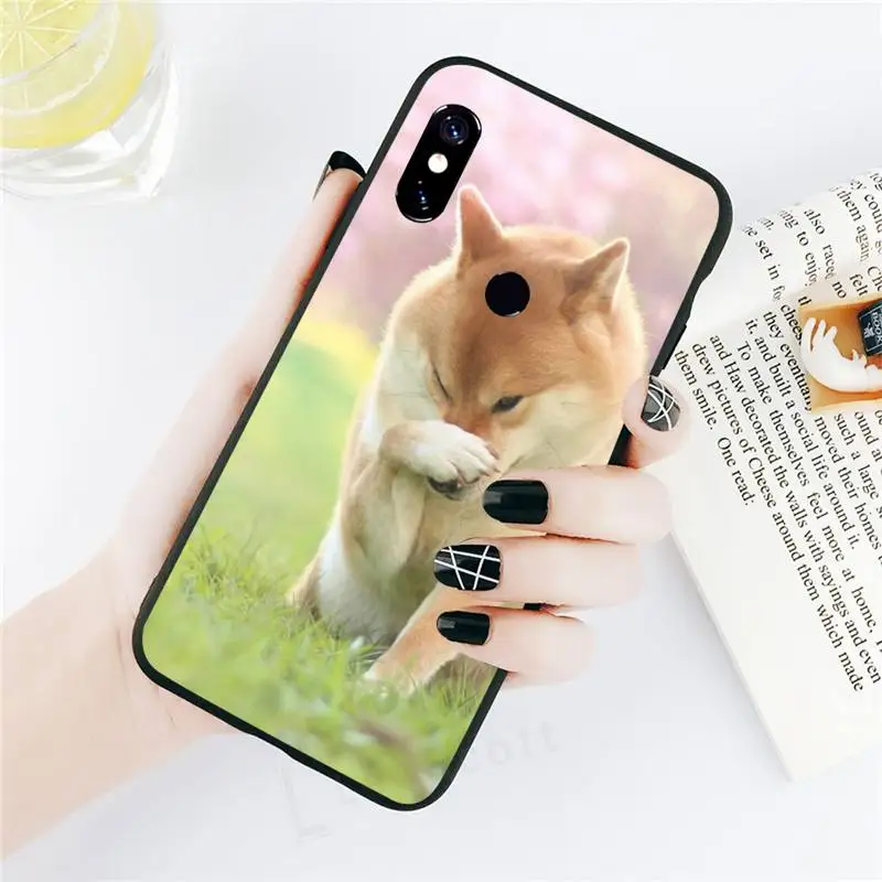 Tea Akita dog animal fashion cover painting Phone Case For Xiaomi Redmi note 7 8 9 t k30 max3 9 s 10 pro lite
Tea Akita dog animal fashion cover painting Phone Case For Xiaomi Redmi note 7 8 9 t k30 max3 9 s 10 pro lite