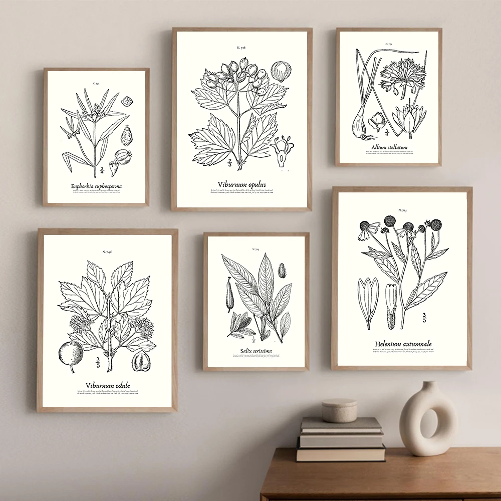 Botanical Prints Vintage Black White Plant Posters Flower Illustrations Canvas Painting Wall Art Pictures Living Room Home Decor
Botanical Prints Vintage Black White Plant Posters Flower Illustrations Canvas Painting Wall Art Pictures Living Room Home Decor