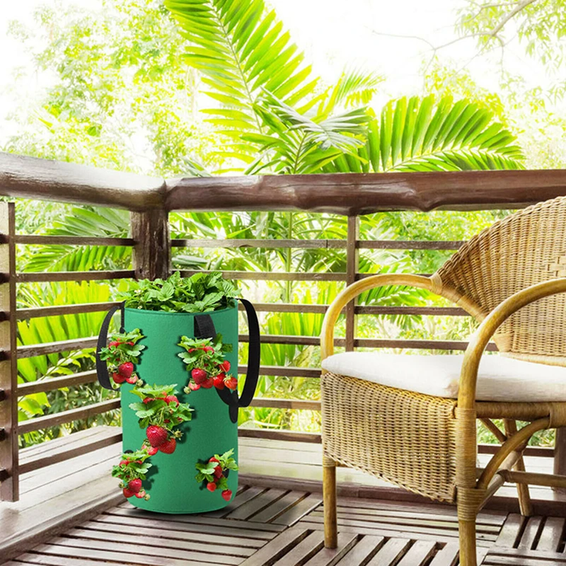 Gardens Hanging Strawberry Planter with Holes Strawberry Floral Grow Pot For Strawberry Root Plants L9
Gardens Hanging Strawberry Planter with Holes Strawberry Floral Grow Pot For Strawberry Root Plants L9