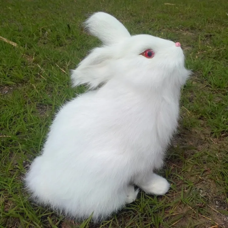 artificial white rabbit hard model polylene&furs cute rabbit handmade handicraft Figurines desktop ornament decoration toy a0058
artificial white rabbit hard model polylene&furs cute rabbit handmade handicraft Figurines desktop ornament decoration toy a0058