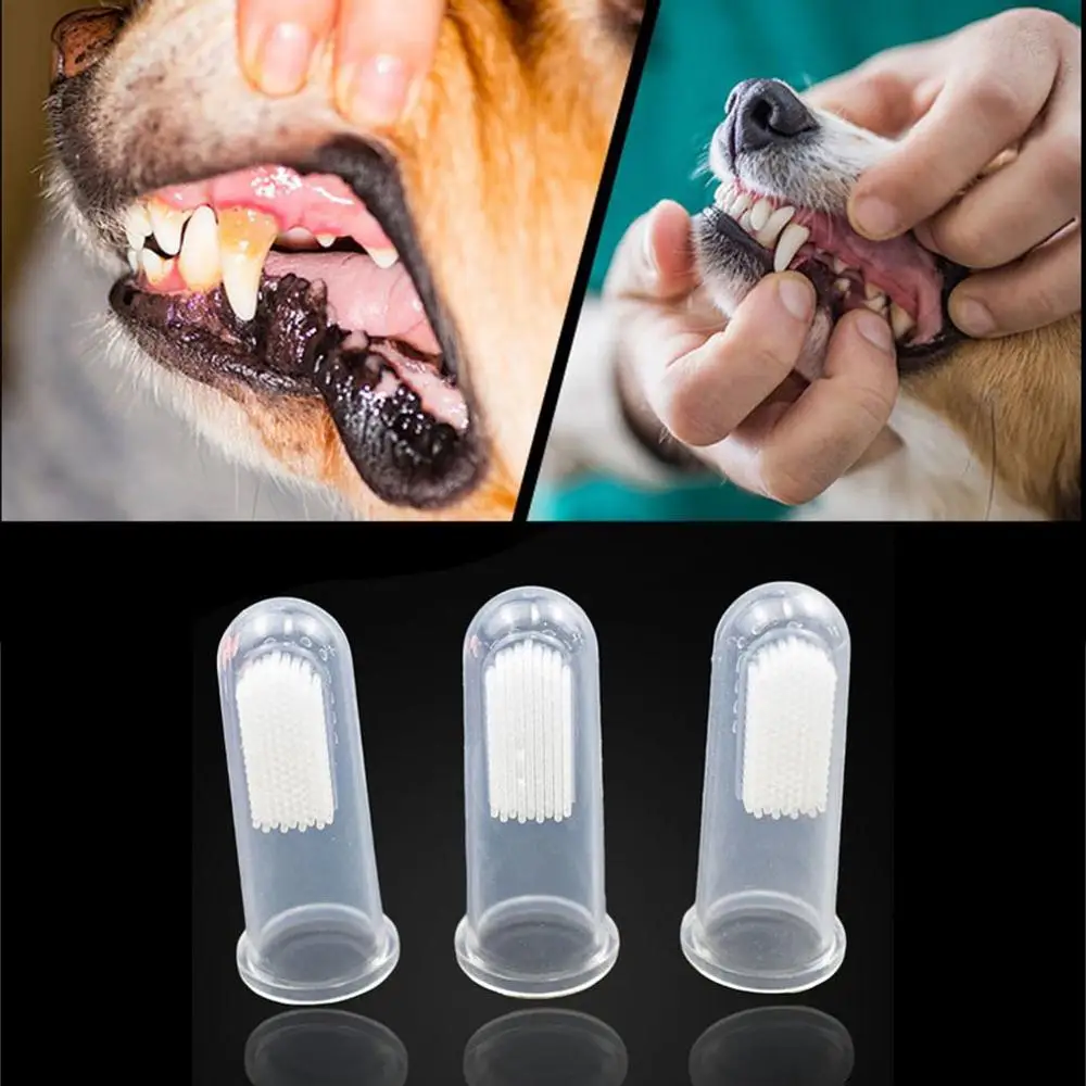 Dog Cat Pet Toothbrush Soft Pet Finger Toothbrush Dog Cat Pet Teeth Care Food Residues Remove Cleaning Brush Pets Grooming Tools
Dog Cat Pet Toothbrush Soft Pet Finger Toothbrush Dog Cat Pet Teeth Care Food Residues Remove Cleaning Brush Pets Grooming Tools