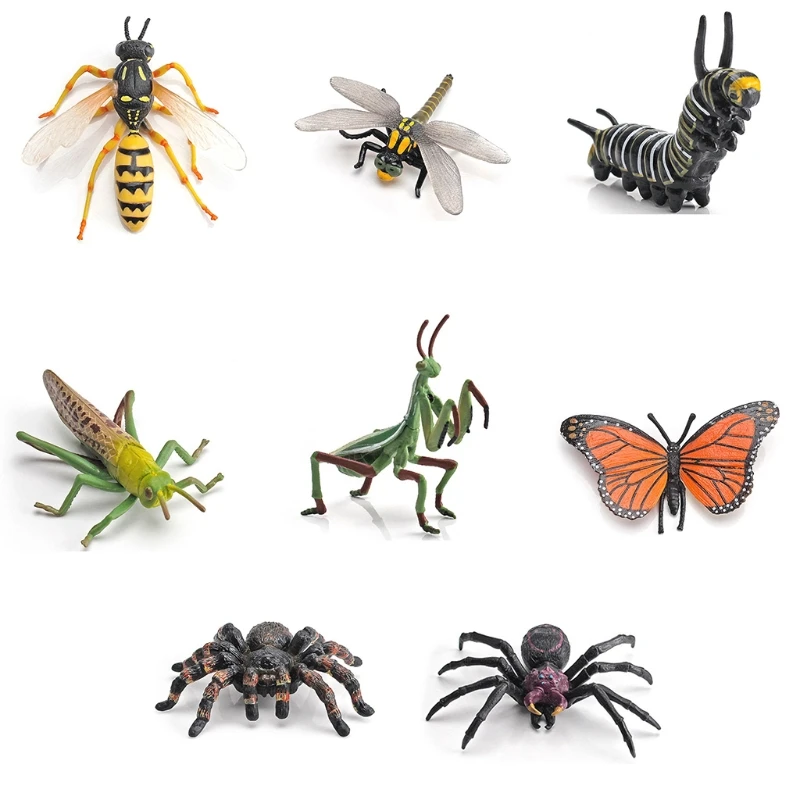 Realistic Insect Toys Party Favor for Kids&Adult Creative Supplies Animals Model
Realistic Insect Toys Party Favor for Kids&Adult Creative Supplies Animals Model