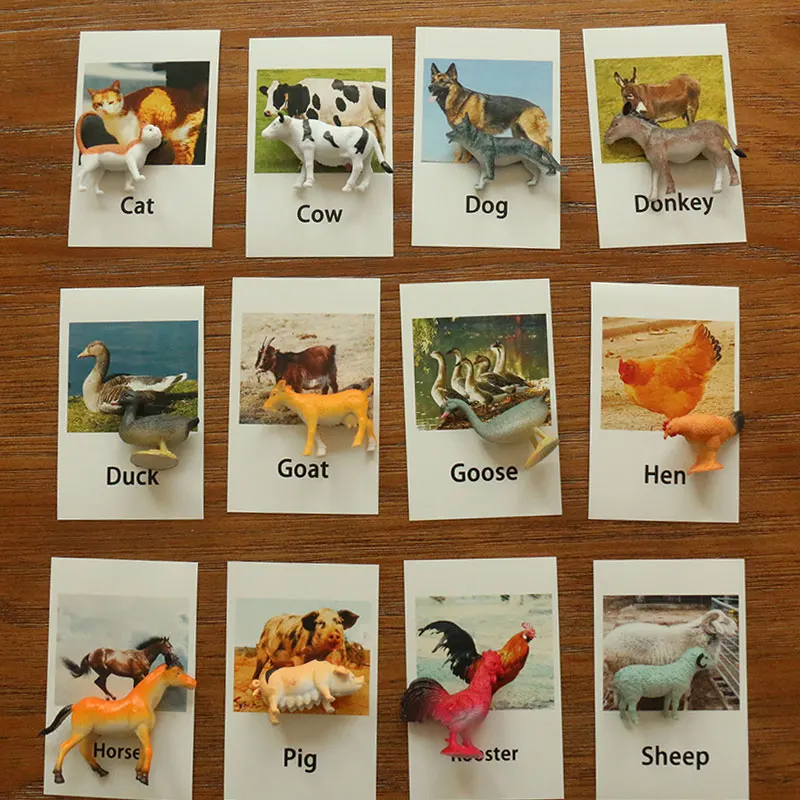 Montessori Infant Toys Poultry Animals Cards Learning Educational Toys for Toddlers Flash Card Juguetes Brinquedos
Montessori Infant Toys Poultry Animals Cards Learning Educational Toys for Toddlers Flash Card Juguetes Brinquedos