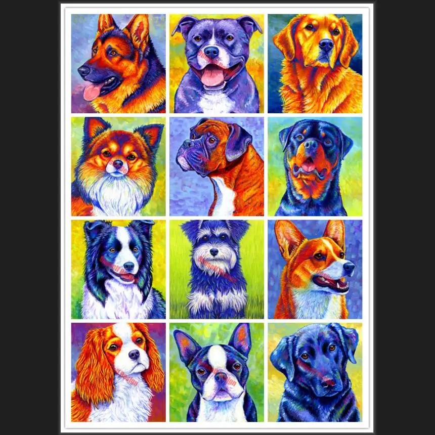 diy diamond painting full animal dog rhinestone pictures 5d diamond mosaic sale diamond art kit diy diamond embroidery full set
diy diamond painting full animal dog rhinestone pictures 5d diamond mosaic sale diamond art kit diy diamond embroidery full set