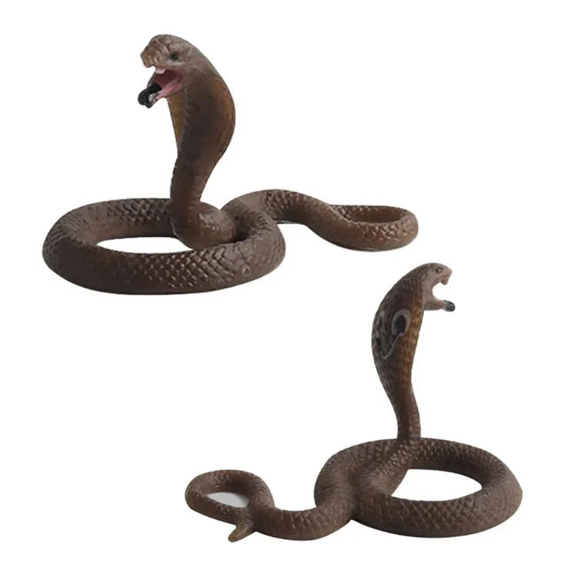 New Style High Quality Educational Science Toy Multiple Styles Simulated Snake Model Toy For Kids Children Fashion Kids Toys
New Style High Quality Educational Science Toy Multiple Styles Simulated Snake Model Toy For Kids Children Fashion Kids Toys