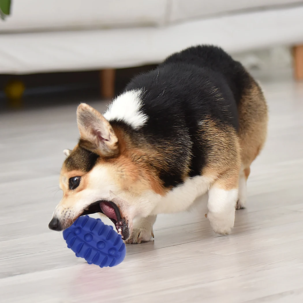 Pet Dog Toys Toy Funny Interactive Elasticity Ball Dog Chew Toy For Dog Tooth Clean Ball Of Food Extra-tough Rubber Ball 
Pet Dog Toys Toy Funny Interactive Elasticity Ball Dog Chew Toy For Dog Tooth Clean Ball Of Food Extra-tough Rubber Ball