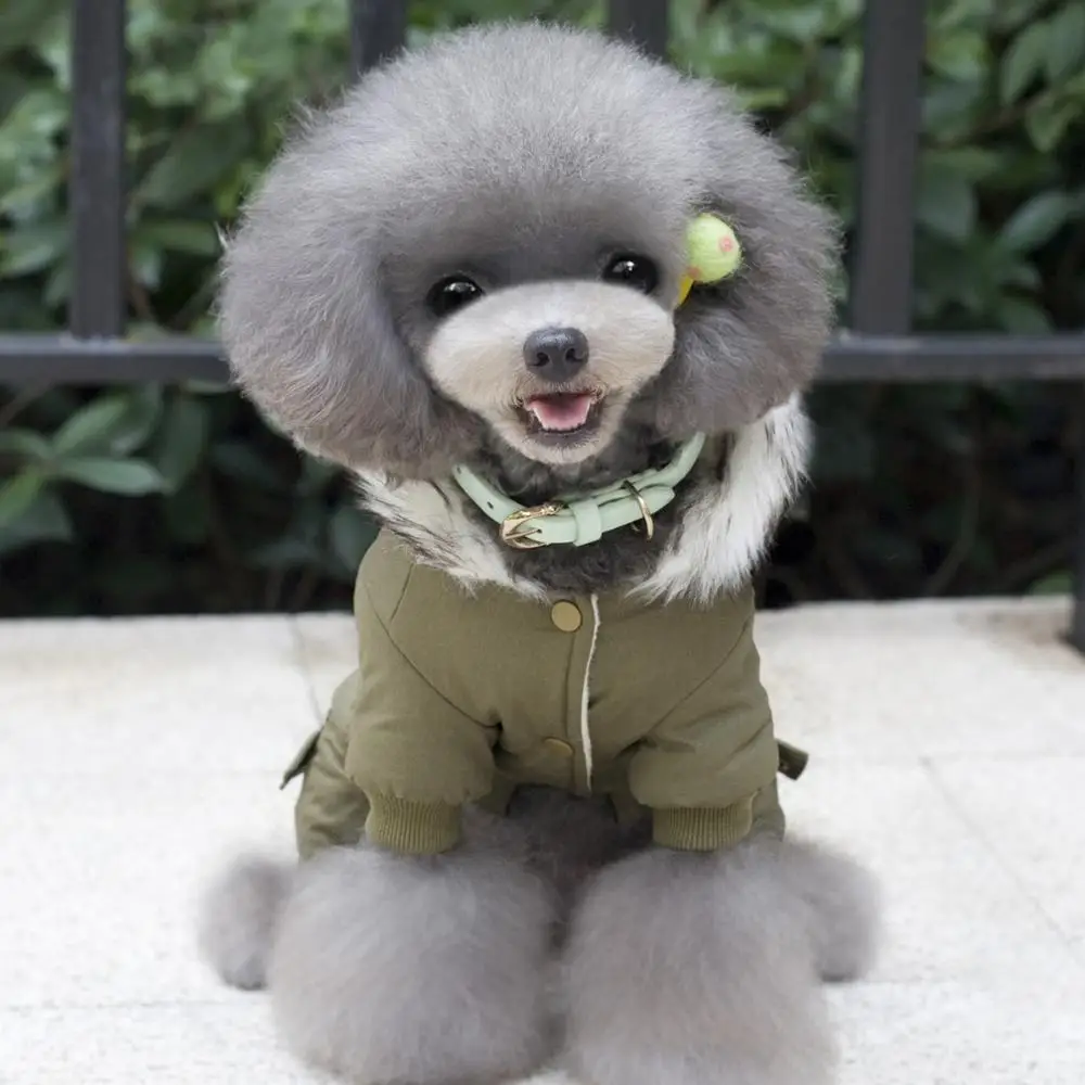 4 Legs Pet Dog Clothes Winter Warm Dog Hoodie Coat Outdoor Windproof Jackets Doggie Down Dogs Jacket
4 Legs Pet Dog Clothes Winter Warm Dog Hoodie Coat Outdoor Windproof Jackets Doggie Down Dogs Jacket