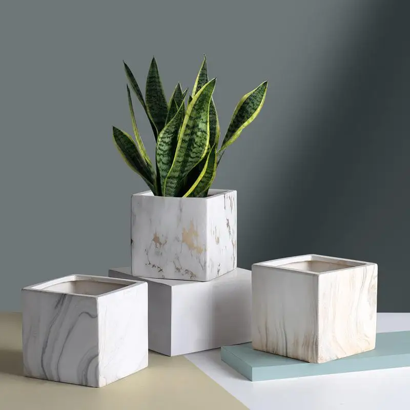 Ceramics Flower Pot Square Shape Nordic Marbled Home Furnishing Creative Green Plant Golden Round Succulent Hydroponic Decor
Ceramics Flower Pot Square Shape Nordic Marbled Home Furnishing Creative Green Plant Golden Round Succulent Hydroponic Decor