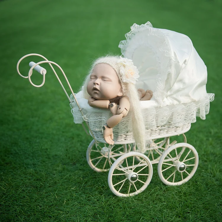 

Newborn Photography Trolley Car Props Baby Girl Photo Shoot Posing Studio Cradle Basket Props Infant bebe fotografia Accessories