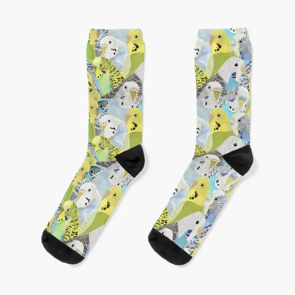 Budgie Parakeets Crew Socks Ankle Knee High Mens Best Women Black 
Budgie Parakeets Crew Socks Ankle Knee High Mens Best Women Black