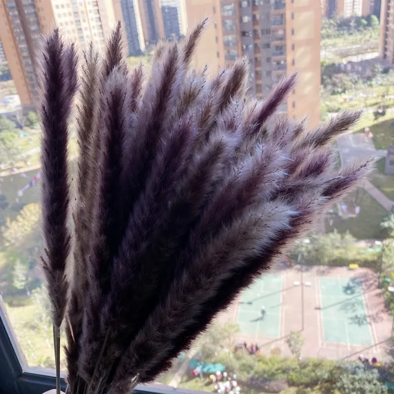 

Natural Small Dried Flowers Fluffy Pampas Grass Seed Home Decor Ted Bakerblushing Bouquet Wholesale Wedding 15Pcs/Lot 55cm