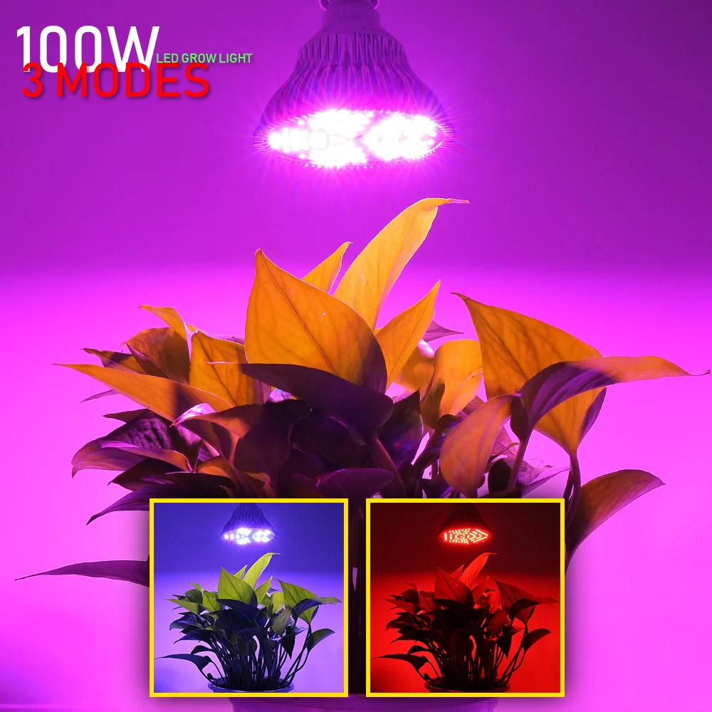 XYRL 100W Indoor Plant E27 Full Spectrum LED Grow Light Bulb Phyto Lamp For Greenhouse Hydroponic Seeds Flower Growing Tent Box
XYRL 100W Indoor Plant E27 Full Spectrum LED Grow Light Bulb Phyto Lamp For Greenhouse Hydroponic Seeds Flower Growing Tent Box