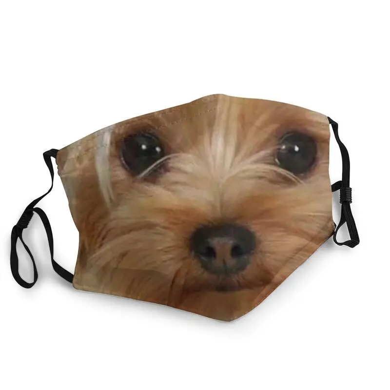 Cute Yorkshire Terrier Non-Disposable Face Mask Yorkie Puppy Dog Mask Anti Dust Protection Cover Respirator Mouth Muffle
Cute Yorkshire Terrier Non-Disposable Face Mask Yorkie Puppy Dog Mask Anti Dust Protection Cover Respirator Mouth Muffle