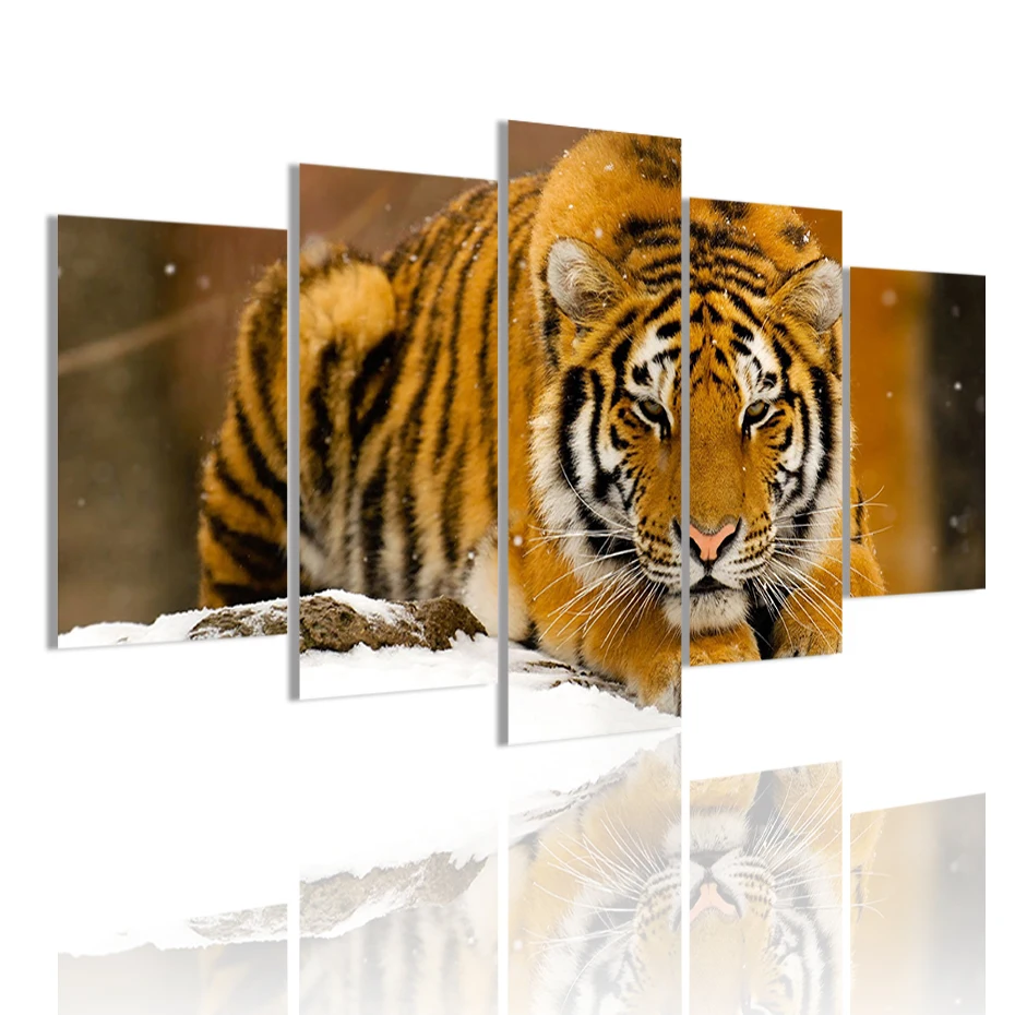 Siberian Tiger Snow Animal 5 Panels HD Canvas Painting Posters Wall Art Print Pictures for Living Room Interior Home Decor Frame
Siberian Tiger Snow Animal 5 Panels HD Canvas Painting Posters Wall Art Print Pictures for Living Room Interior Home Decor Frame