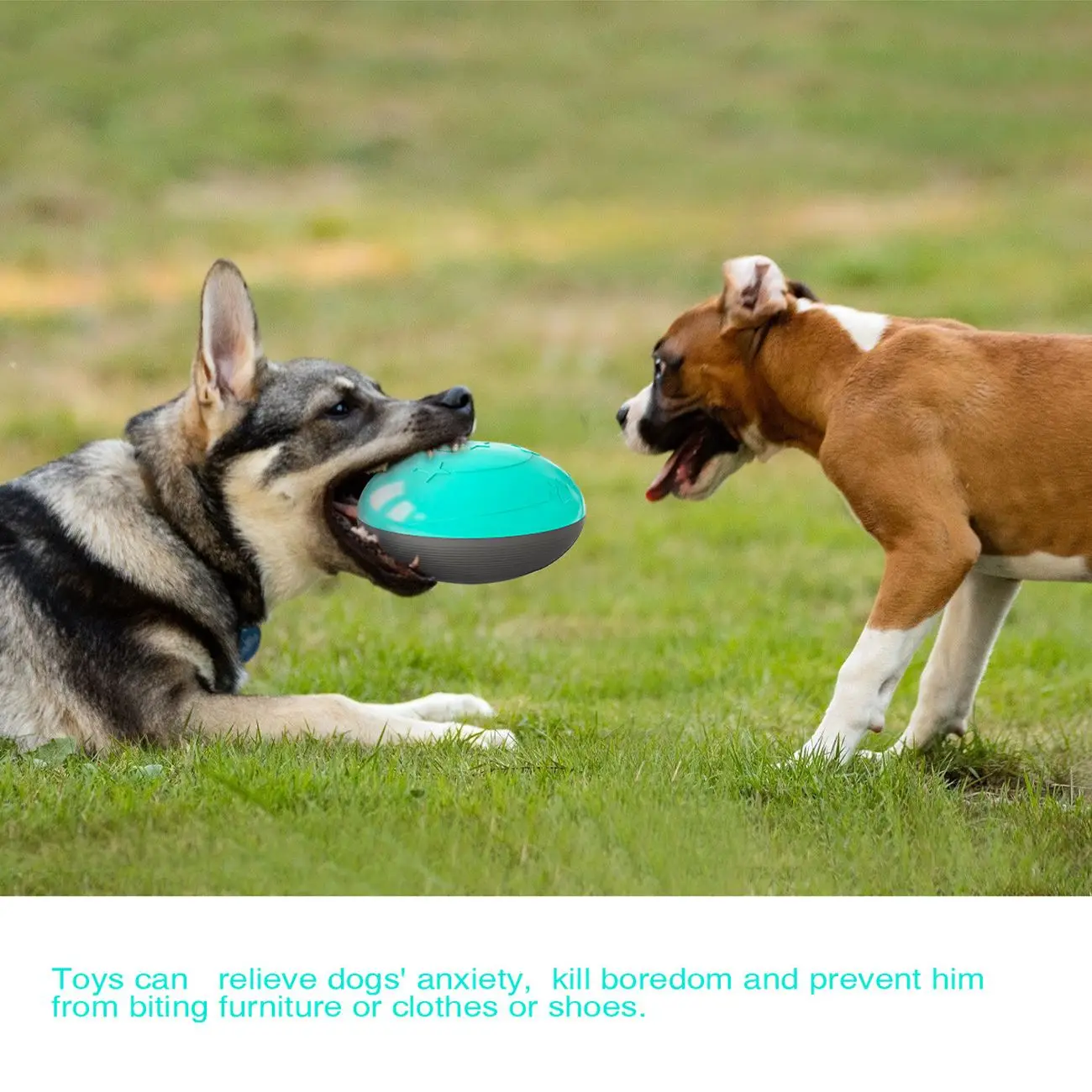 Dog Chew Toy Non Toxic Pressing Sounds Can Leak Food flying Discs Dog Interactive Toys Games Chew Training Toy Pet Supplies
Dog Chew Toy Non Toxic Pressing Sounds Can Leak Food flying Discs Dog Interactive Toys Games Chew Training Toy Pet Supplies