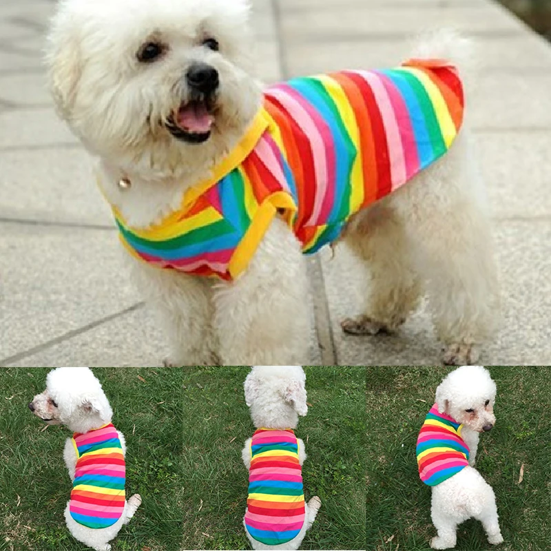 Fashion New Design Cute Rainbow Stripe Pet Shirt Vest Dog Clothes Puppy Cat Apparel Costume Clothing For Teddy Summer Clothing
Fashion New Design Cute Rainbow Stripe Pet Shirt Vest Dog Clothes Puppy Cat Apparel Costume Clothing For Teddy Summer Clothing
