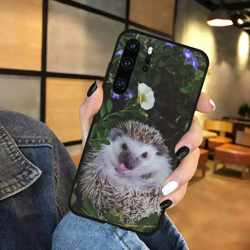 Cute little hedgehog Phone Case Funda For Huawei P9 P10 P20 P30 Lite 2016 2017 2019 plus pro P smart
Cute little hedgehog Phone Case Funda For Huawei P9 P10 P20 P30 Lite 2016 2017 2019 plus pro P smart