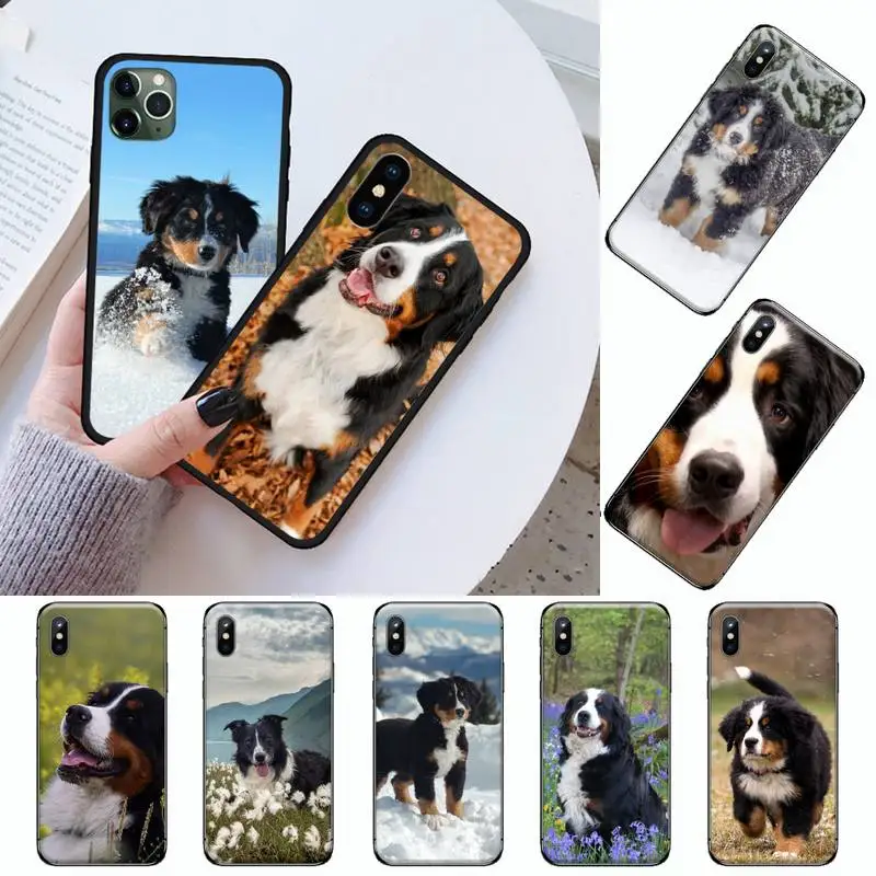 Bernese Mountain Dog animal Phone Case For iphone 12 11 13 7 8 6 s plus x xs xr pro max mini
Bernese Mountain Dog animal Phone Case For iphone 12 11 13 7 8 6 s plus x xs xr pro max mini