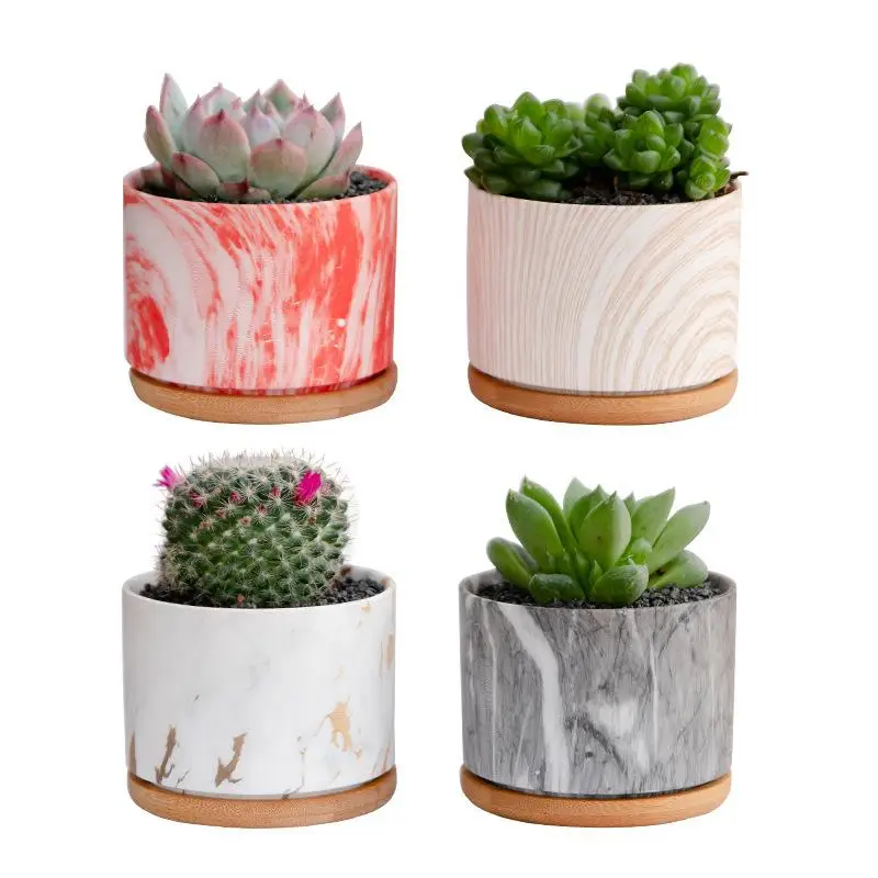 1pc Porcelain Flower Pot Ceramic Plastic Simple Creative Succulent Flower Pot Mulfifunctional Mini Flowerpot Garden Supplies
1pc Porcelain Flower Pot Ceramic Plastic Simple Creative Succulent Flower Pot Mulfifunctional Mini Flowerpot Garden Supplies