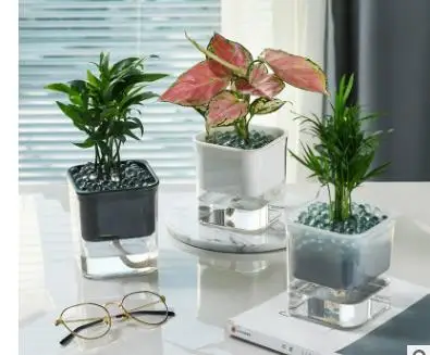 Self-Watering Creative Transparent Visual Plant Pot Automatic Water Absorption Hydroponic Pot Ideal for Office, Room, Kitchen
Self-Watering Creative Transparent Visual Plant Pot Automatic Water Absorption Hydroponic Pot Ideal for Office, Room, Kitchen