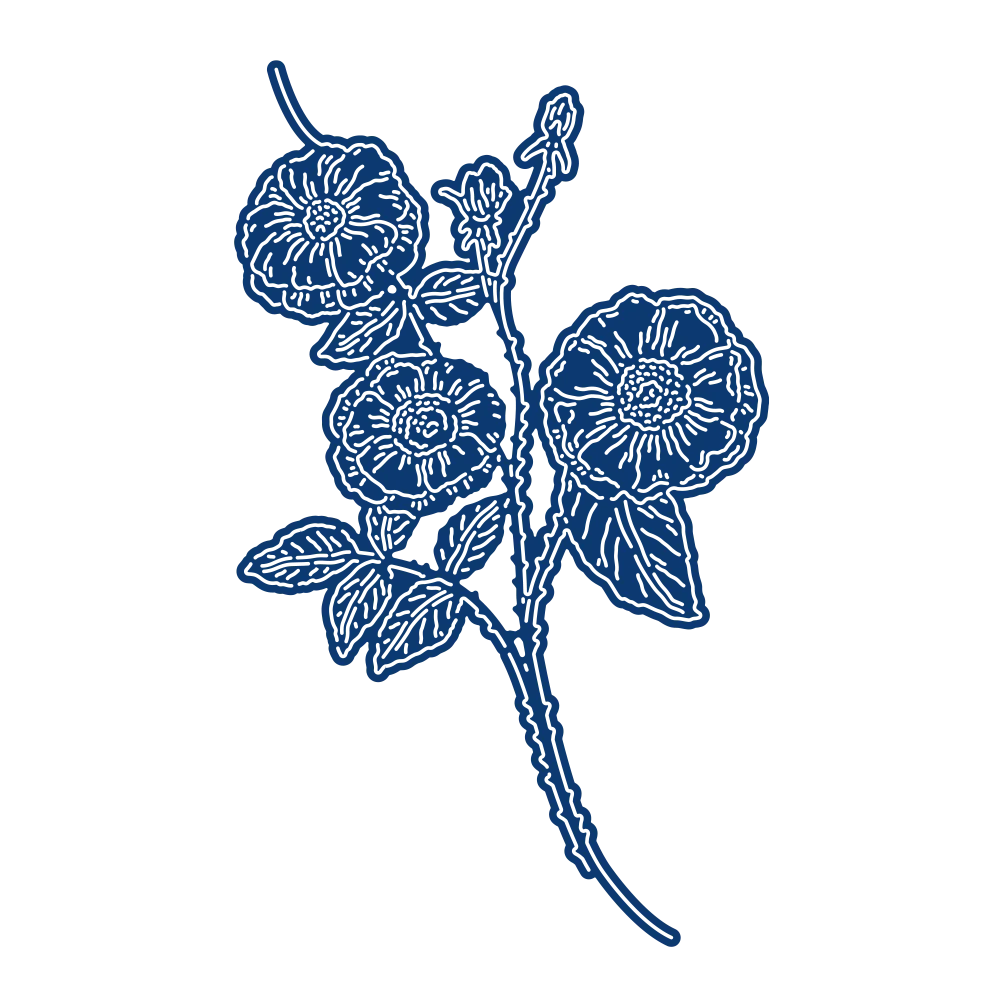 Over the Edge Rambling Rose 2021 New Metal Cutting Dies Scrapbook Diary Decoration Embossing Template Diy Greeting Card Handmade
Over the Edge Rambling Rose 2021 New Metal Cutting Dies Scrapbook Diary Decoration Embossing Template Diy Greeting Card Handmade