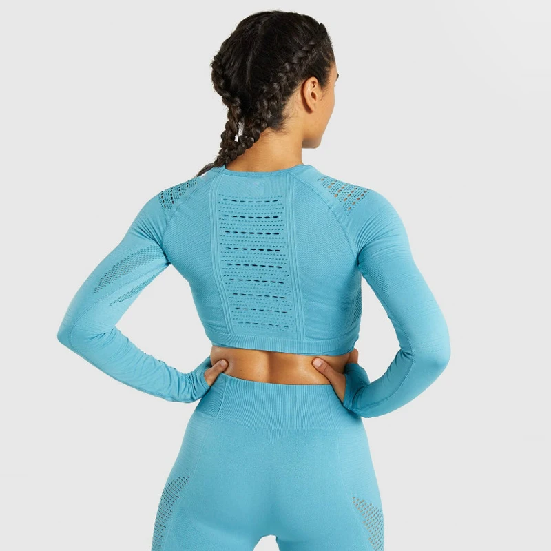 2 Pcs/set Ombre Seamless Women Sport Suit Gym Workout Clothes Long Sleeve Fitness Crop Top And Scrunch Butt Leggings Yoga Set
2 Pcs/set Ombre Seamless Women Sport Suit Gym Workout Clothes Long Sleeve Fitness Crop Top And Scrunch Butt Leggings Yoga Set