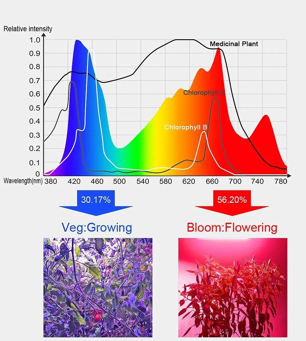 Full Spectrum LED Growth Floodlight Led Phyto Lamp 85V-265V Plant Flower Greenhouse Growing Light
Full Spectrum LED Growth Floodlight Led Phyto Lamp 85V-265V Plant Flower Greenhouse Growing Light