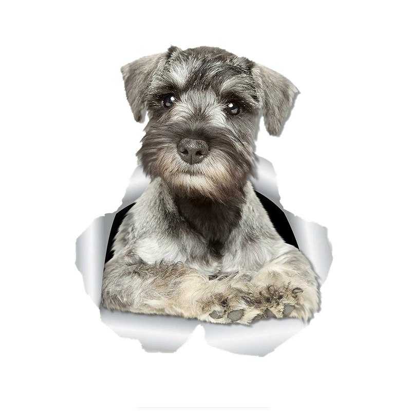 Personality Car Sticker 3D Curious Schnauzer Dog Decal for Car Wall Toilet Kid's Room Luggage Skateboard Laptop 10cmX15cm
Personality Car Sticker 3D Curious Schnauzer Dog Decal for Car Wall Toilet Kid's Room Luggage Skateboard Laptop 10cmX15cm