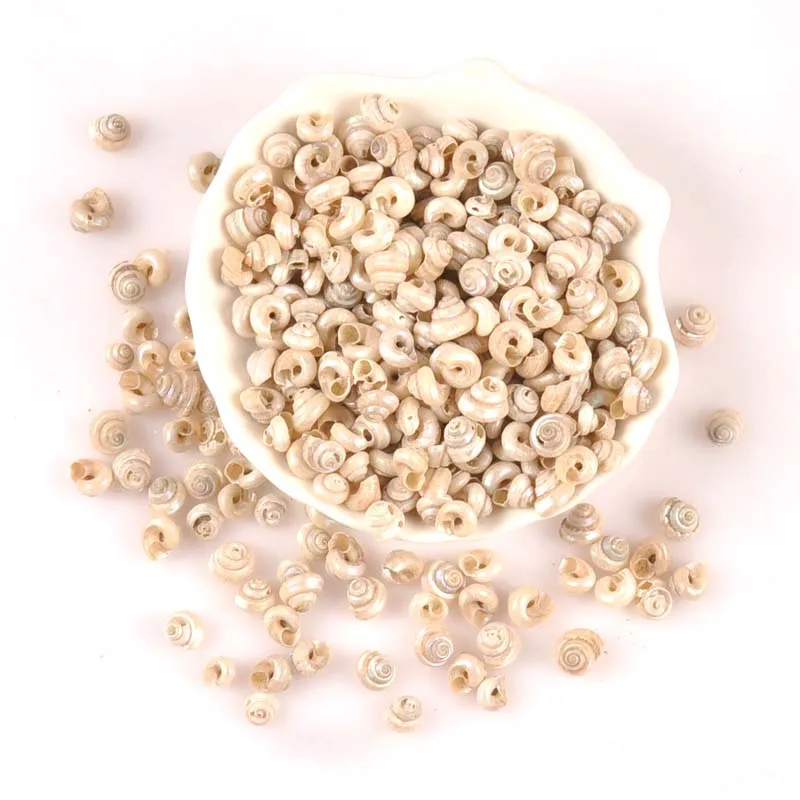 8-10mm Natural pearl color Mini Spiral SeaShell Scrapbook Craft for glass bottle fish tank decoration 100pcs TRS0365 
8-10mm Natural pearl color Mini Spiral SeaShell Scrapbook Craft for glass bottle fish tank decoration 100pcs TRS0365