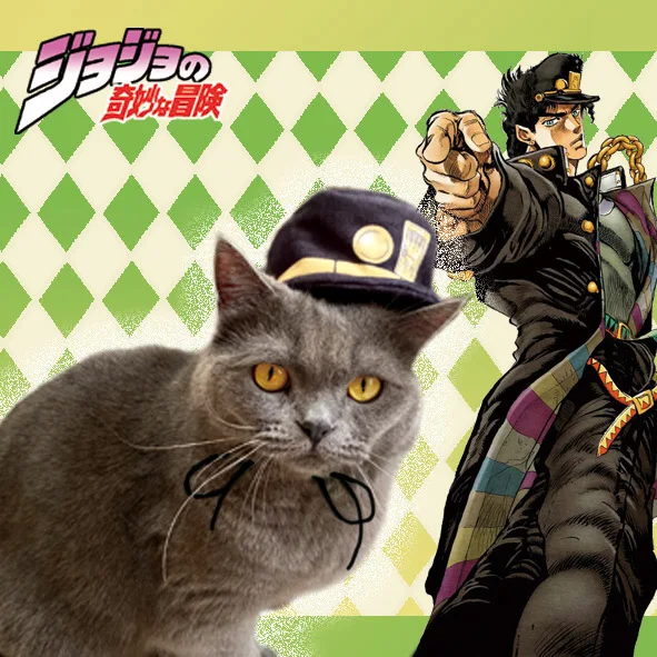 JoJo's Bizarre Adventure Kujo Jotaro Cat Pet clothes cap hat Cos Photo Decorations Gift
JoJo's Bizarre Adventure Kujo Jotaro Cat Pet clothes cap hat Cos Photo Decorations Gift