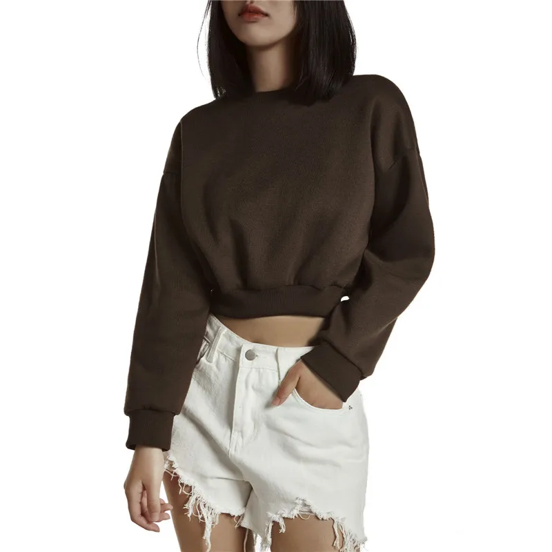 Female Autumn Spring Short Pullovers Sweatshirts Solid Color Women O Neck Long Sleeve Elastic Sweatshirt Casual Streetwear S M L
Female Autumn Spring Short Pullovers Sweatshirts Solid Color Women O Neck Long Sleeve Elastic Sweatshirt Casual Streetwear S M L