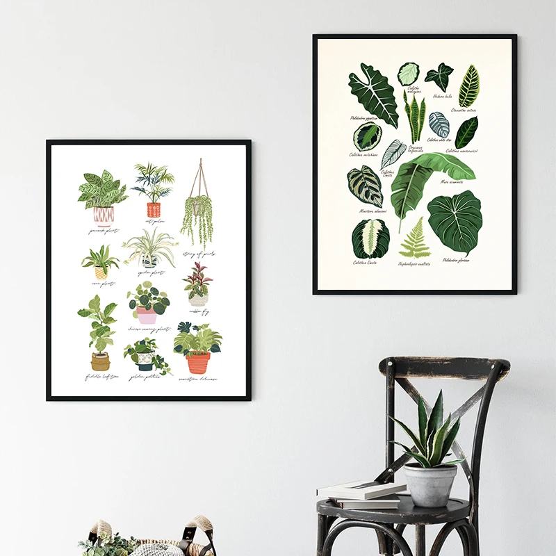 House Plants Canvas Painting Indoor Botanical Wall Art Pictures Plant Lover Gift Vintage Flower Poster Print Living Room Decor
House Plants Canvas Painting Indoor Botanical Wall Art Pictures Plant Lover Gift Vintage Flower Poster Print Living Room Decor
