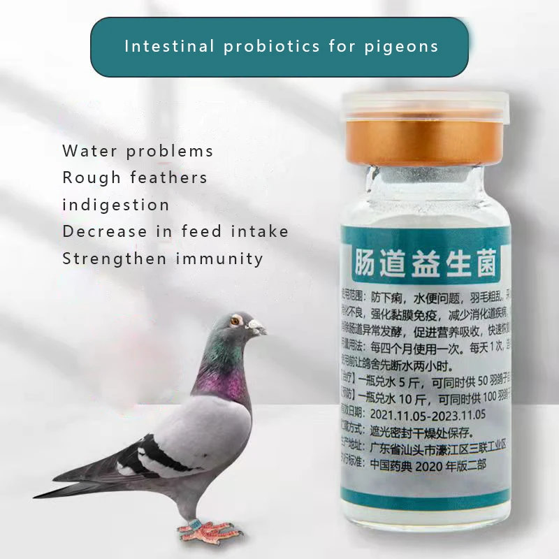 Pigeons use intestinal probiotics to diarrhea green stools and pigeon-like supplements to regulate their intestines and stomach
Pigeons use intestinal probiotics to diarrhea green stools and pigeon-like supplements to regulate their intestines and stomach