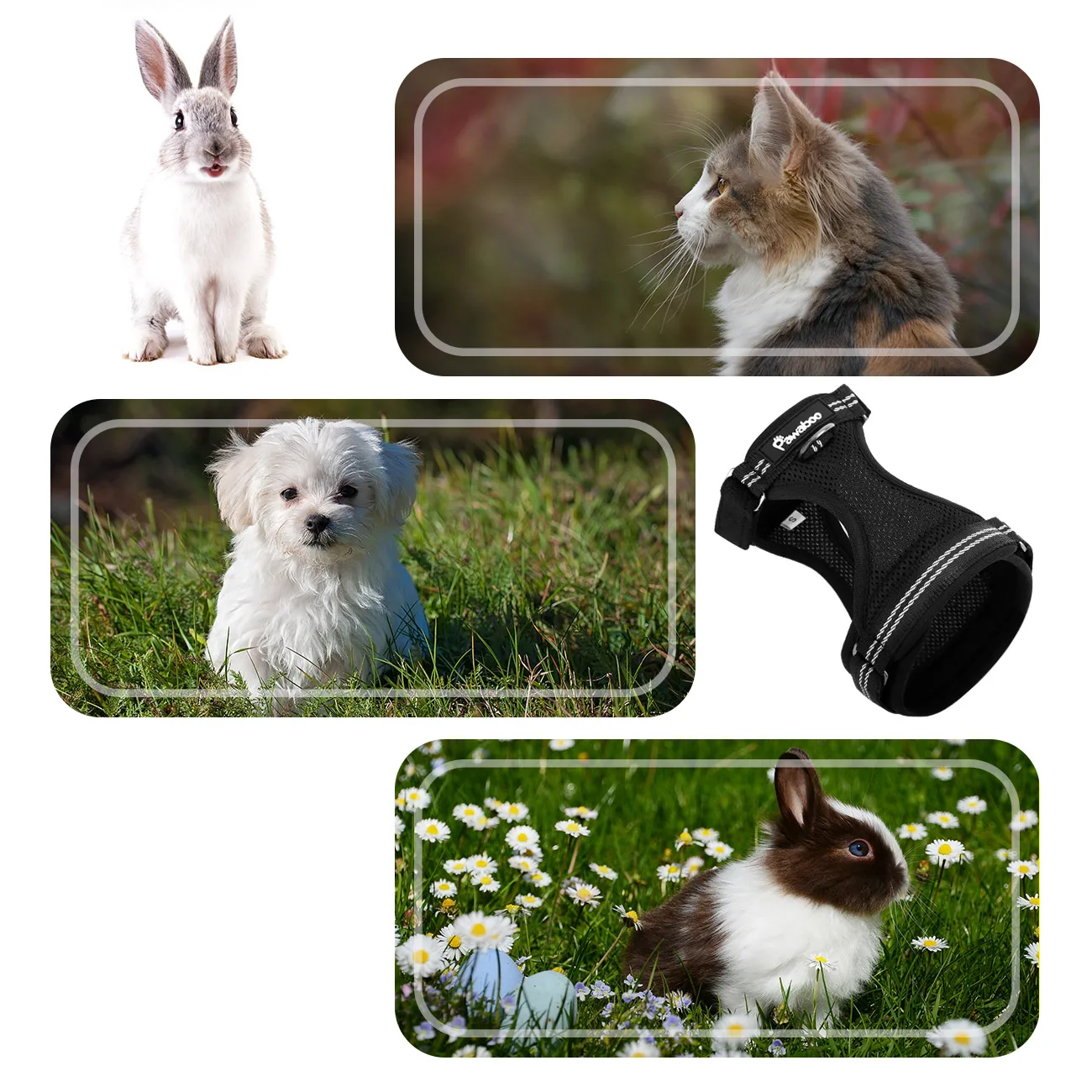 Pet Vest Harness with Leash Set,Dog Cat Soft Reflective Padded Leash Chest Harness with Hook & Loop Strap,Easy to Control,Black
Pet Vest Harness with Leash Set,Dog Cat Soft Reflective Padded Leash Chest Harness with Hook & Loop Strap,Easy to Control,Black