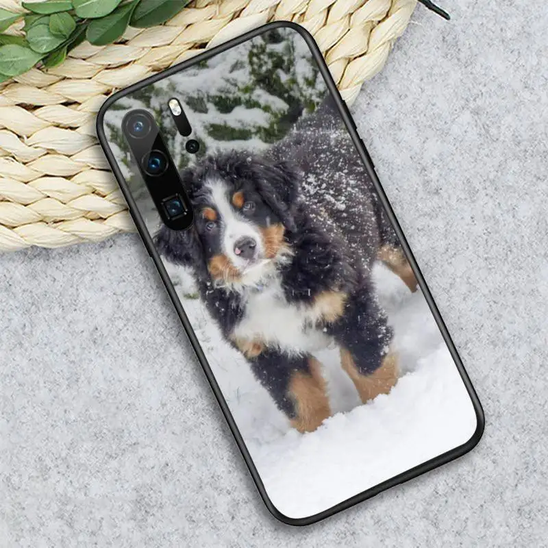 Bernese Mountain Dog Phone Case For Huawei honor Mate P 10 20 30 40 i 9 8 pro x Lite smart 2019 nova 5t 
Bernese Mountain Dog Phone Case For Huawei honor Mate P 10 20 30 40 i 9 8 pro x Lite smart 2019 nova 5t