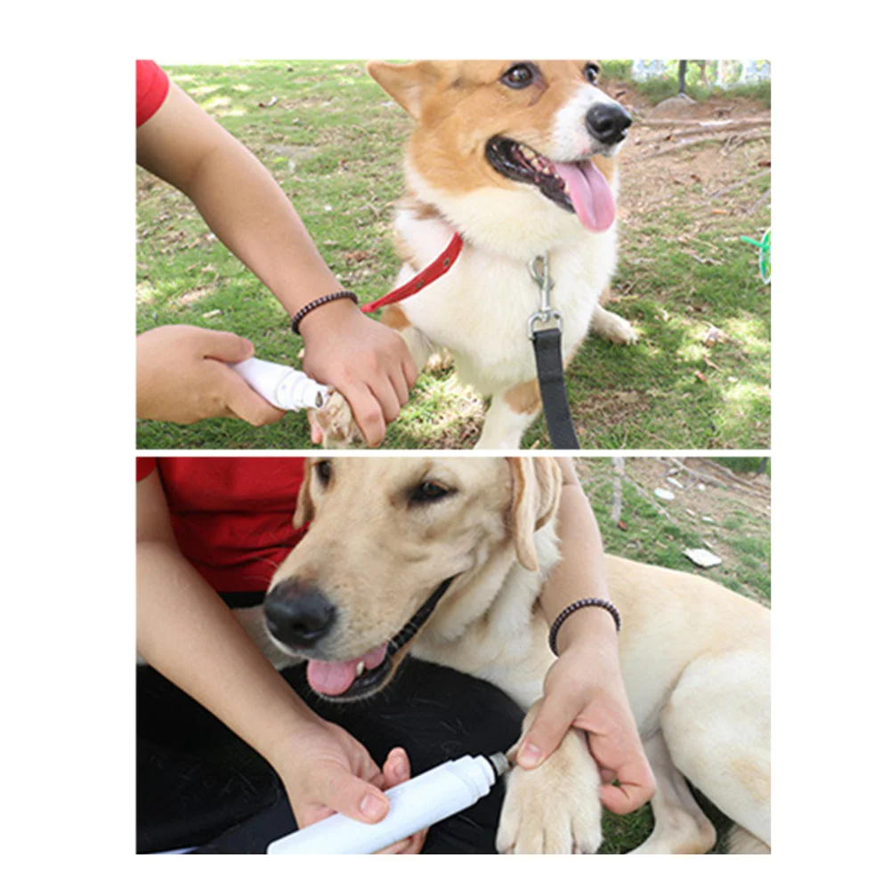 1PC Pet Electric Nail Grinding Machine Automatic Pet Nail Clipper Creative Pet Grinding Nail Clipper Portable Cat Nail Trimmers
1PC Pet Electric Nail Grinding Machine Automatic Pet Nail Clipper Creative Pet Grinding Nail Clipper Portable Cat Nail Trimmers