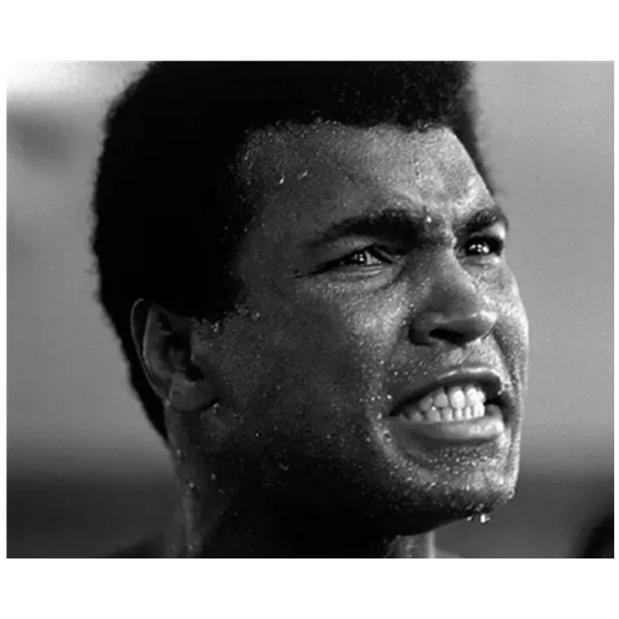 5D DIY Full Drill Diamond Painting Muhammad Ali Figure Diamond Embroidery Boxing Sports Cross Stitch Mosaic Boys Gift Room Decor
5D DIY Full Drill Diamond Painting Muhammad Ali Figure Diamond Embroidery Boxing Sports Cross Stitch Mosaic Boys Gift Room Decor